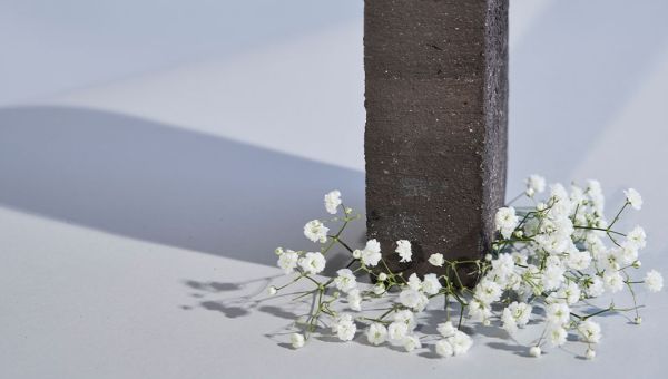 Die Natur ist unser natürliches Habitat.