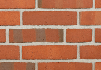 RT 406 Rotbunt geflammt DKNF,DERF