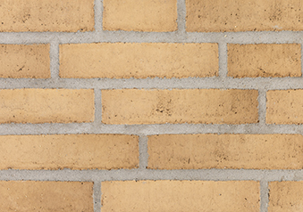 RT 474 Gelbbraun Torino DKNF